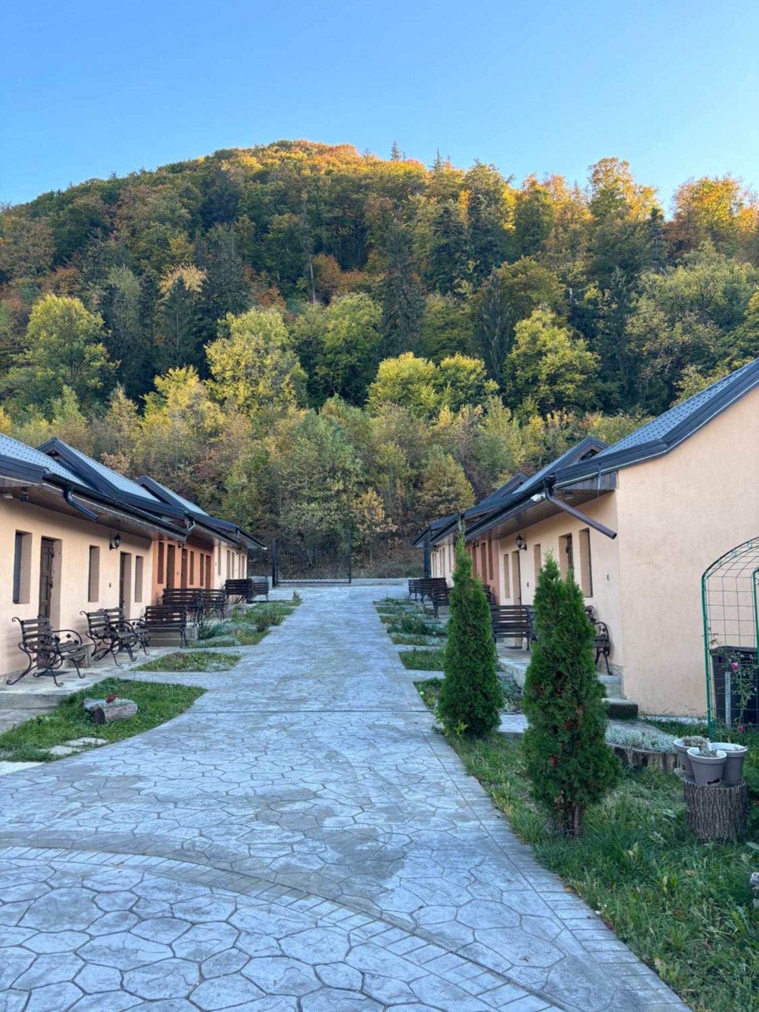Casa Ardeleanului Hotel Piatra Neamţ Exterior foto